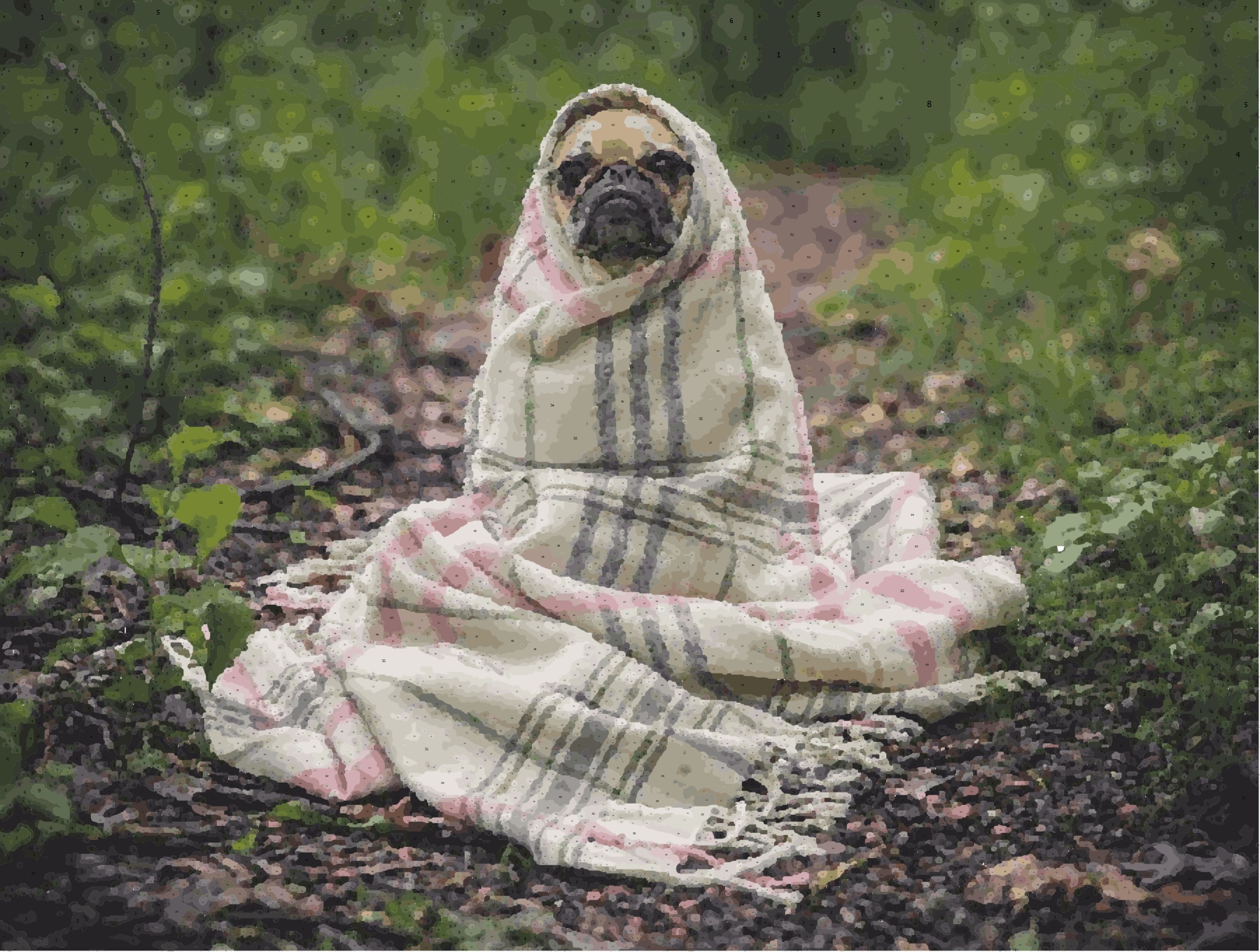 Cão por números